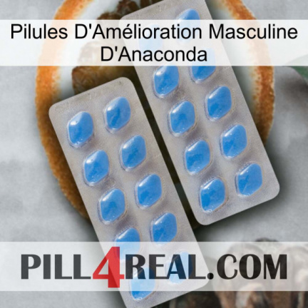 Anaconda Male Enhancement Pills 23